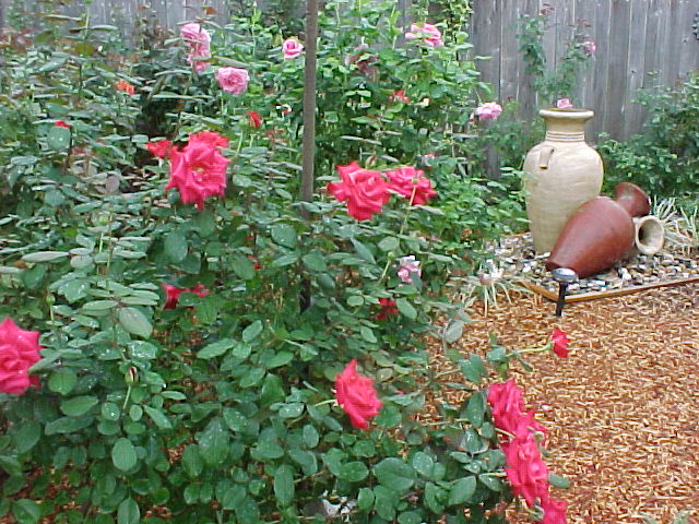 rose houston